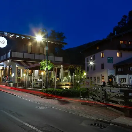 Guest house Bosek's Wagrain