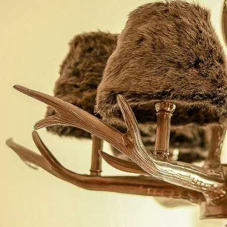 Bosek's Affittacamere